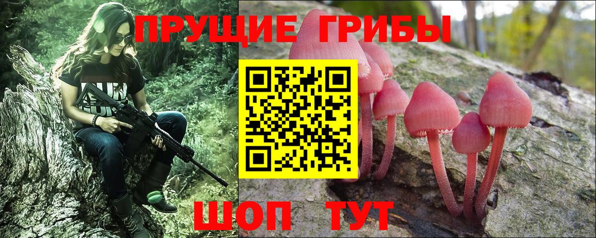 Псилоцибиновые грибы Magic Shrooms Куйбышев